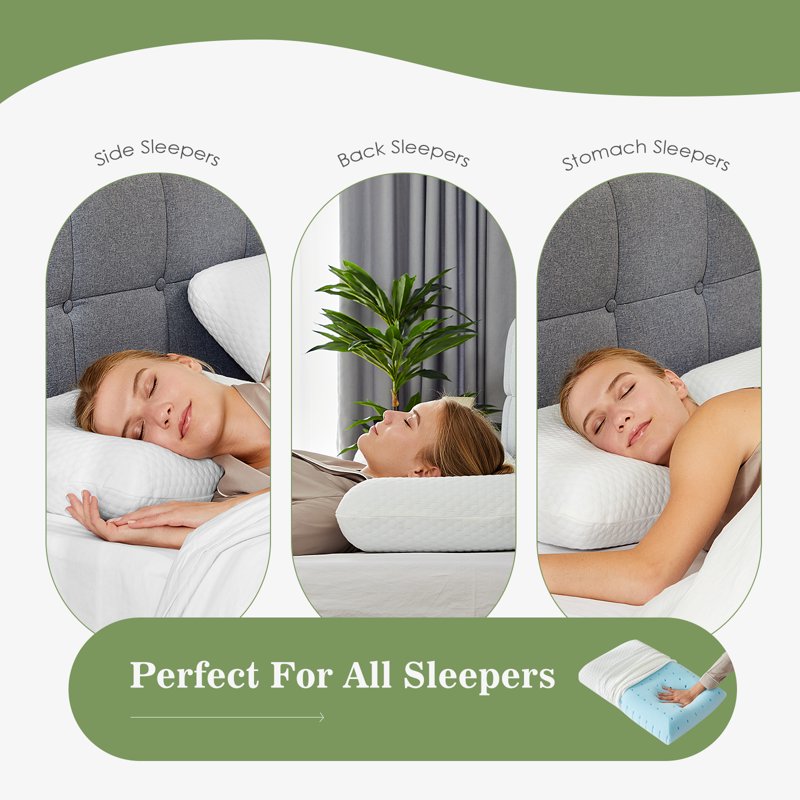 Memory Foam Pillow 2 Pack - Ergonomic Support for Neck & Back Pain Relief, Standard Size 24x16x4.7, Washable Cover