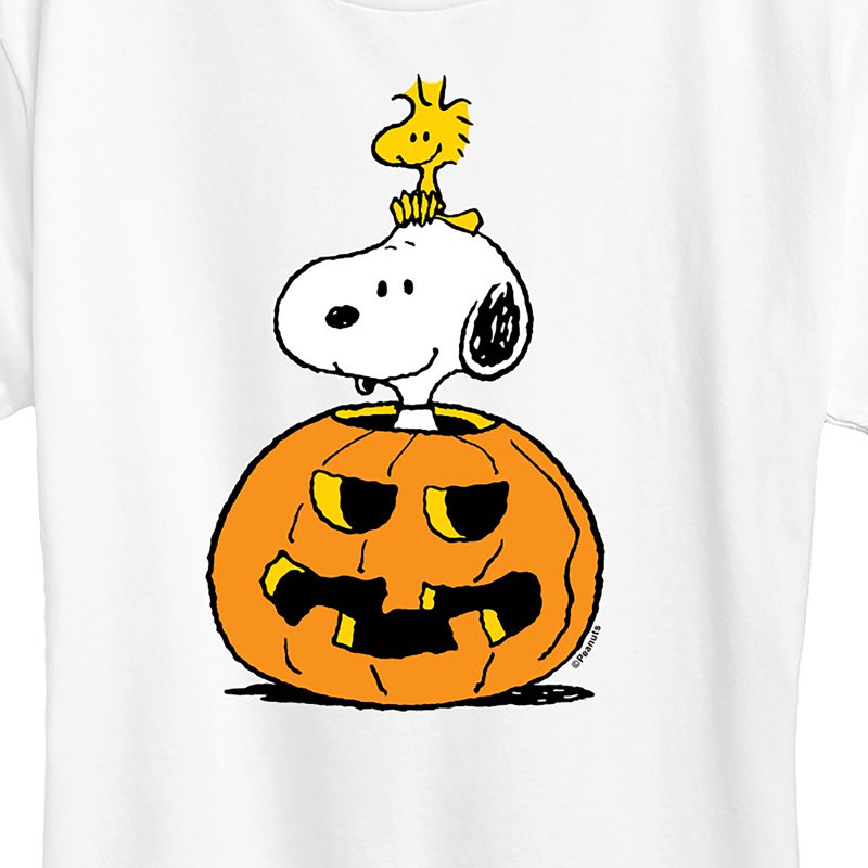 Women's Short Sleeve Peanuts Snoopy Woodstock Pumpkin T-Shirt - White 3X
