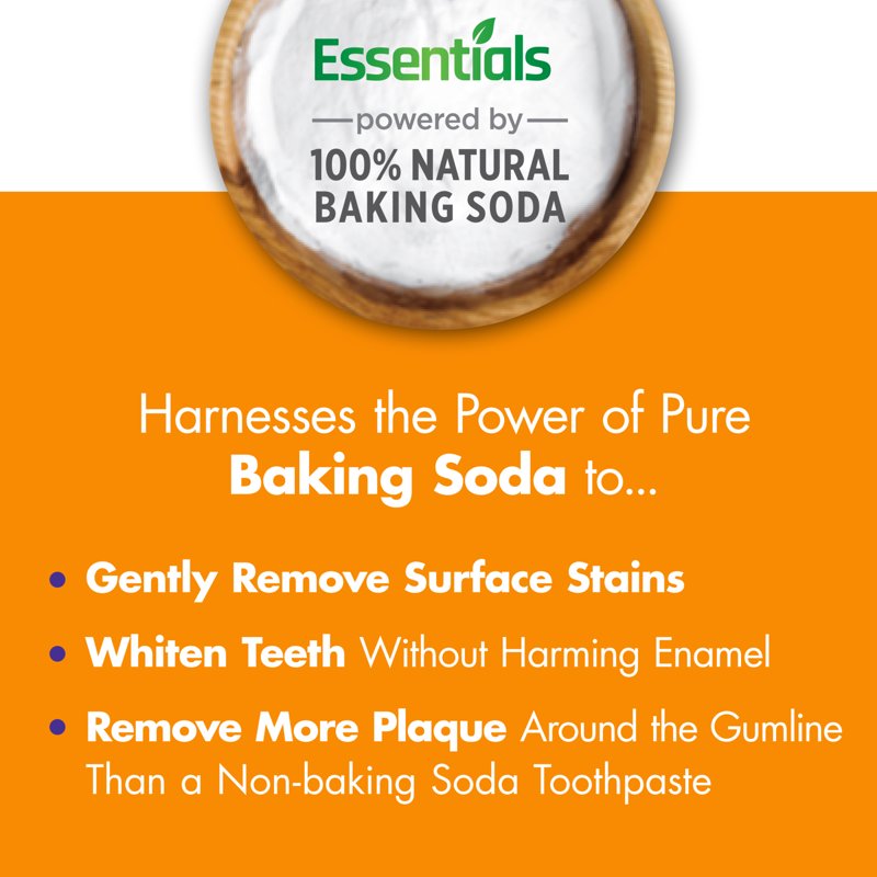 Fluoride-Free Activated Charcoal Toothpaste - 4 Pack, Clean Mint