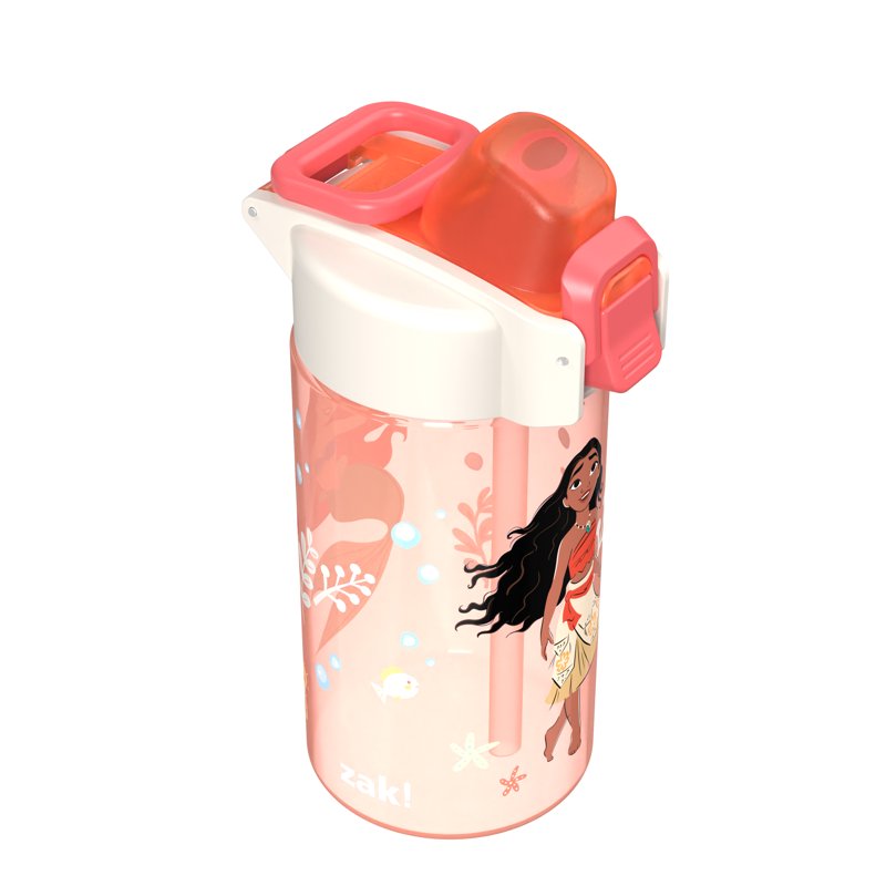 16oz Princess Pink Water Bottle with Leak-Proof Lid