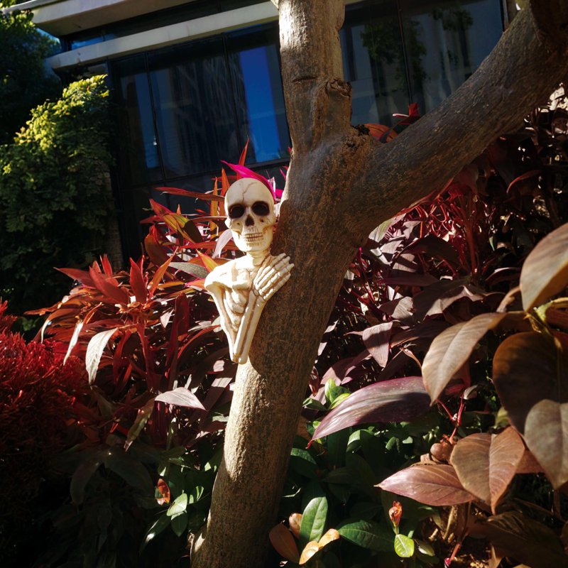 Halloween Skeleton Tree Peeker - 14-Inch Spooky Yard Garden Decor