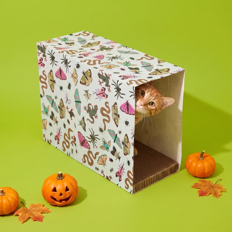 Halloween Cat Scratcher Paper Bag with Catnip - Multicolor