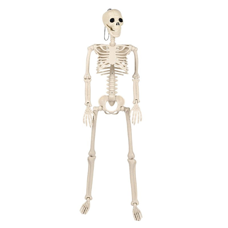 Poseable Plastic Skeleton Model - 35.43in Halloween Decor for Indoor & Outdoor Use