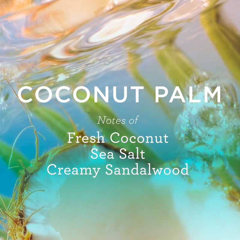 Coconut Palm Moisturizing Body Cream with Shea Butter, 8 fl oz