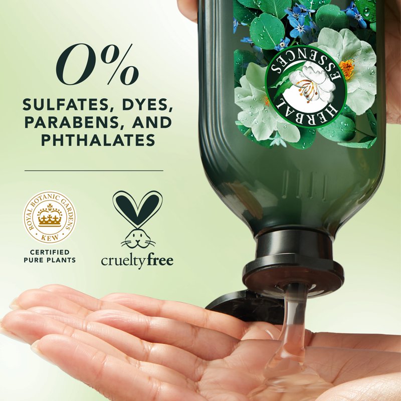 Eucalyptus Scalp Purifying Shampoo, Sulfate-Free Clarifying Hair Care, 13.5 oz