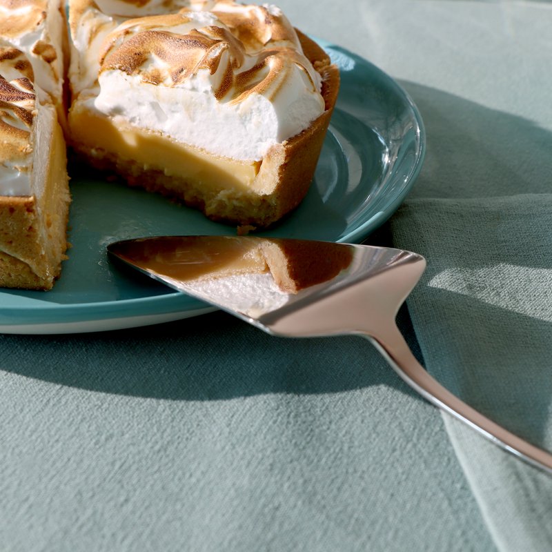 Windermere Cake Server - Premium Stainless Steel