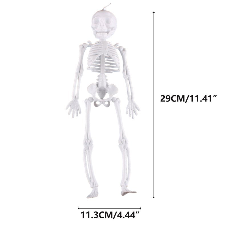 Darzheoy 11.5-Inch Halloween Skeleton Decoration - C Variation
