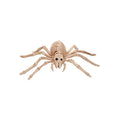 9-Inch Mini Skeleton Spider Prop Halloween Decoration - Variation of Spider