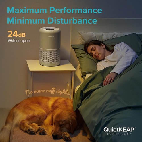 LEVOIT Air Purifier - HEPA Filter for Pets & Large Rooms | Efficient Odor & Dander Removal, Grey
