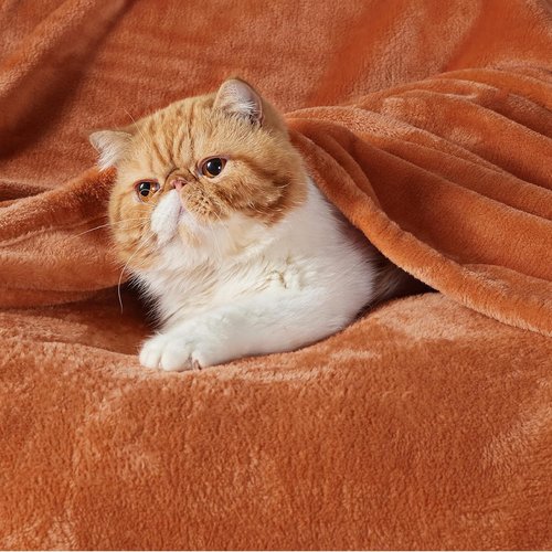 Bedsure GentleSoft Fleece Blanket - King Size Dark Orange 280GSM Soft, Lightweight & Cozy for Bed, Sofa, Travel