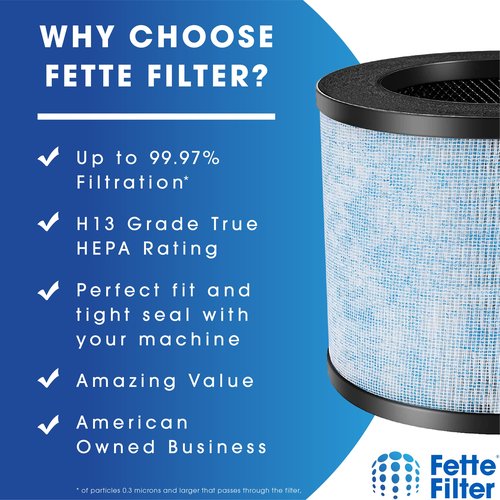 Fette Filter - F100 H13 Premium True HEPA Replacement Filter, Compatible with Instant AP100 Air Purifier, 3-in-1 H13 Grade True HEPA Filter, Part # F100, 2-Pack