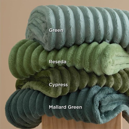 Bedsure GentleSoft Fleece Blanket - Cozy Large Throw for Bed, Sage Green, 120x120 Inches
