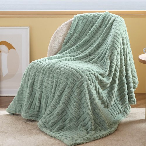 Bedsure Sage Green Throw Blankets for Couch - Spring Blanket for Bed, Cozy Soft Fleece Throw for Women, Warm Cute Small Gift for Girls, 50x60 Inches