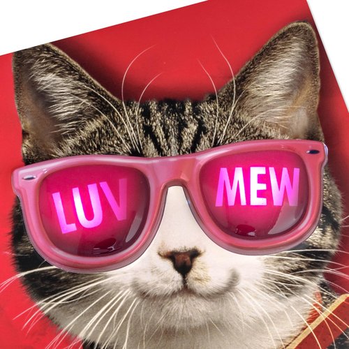 Hallmark Pink Sunglasses Cat Valentine's Day Card with Light and Sound (Luv Mew) for Kids, Teens, Friends