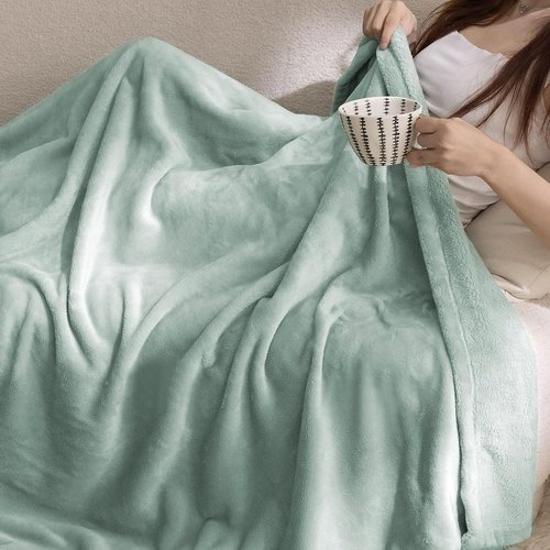Bedsure GentleSoft Fleece Throw Blanket - Soft Sage Green 300GSM Plush Cozy Blanket for Home & Travel