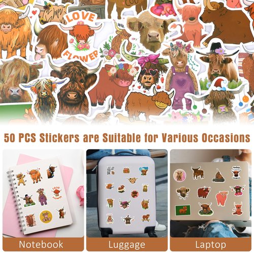 JSENGIFT Highland Cow Gifts for Women, Highland Cow Decor, Cute Birthday Christmas Gift for Cows Lovers