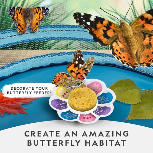 National Geographic Butterfly Growing Kit - Complete Habitat with 5 Caterpillars Voucher | Perfect Easter Gift for Kids