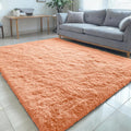 OLANLY Large 5x7 Machine Washable Area Rug - Soft Fluffy Shaggy Carpet in Muted Orange for Living Room & Bedroom
