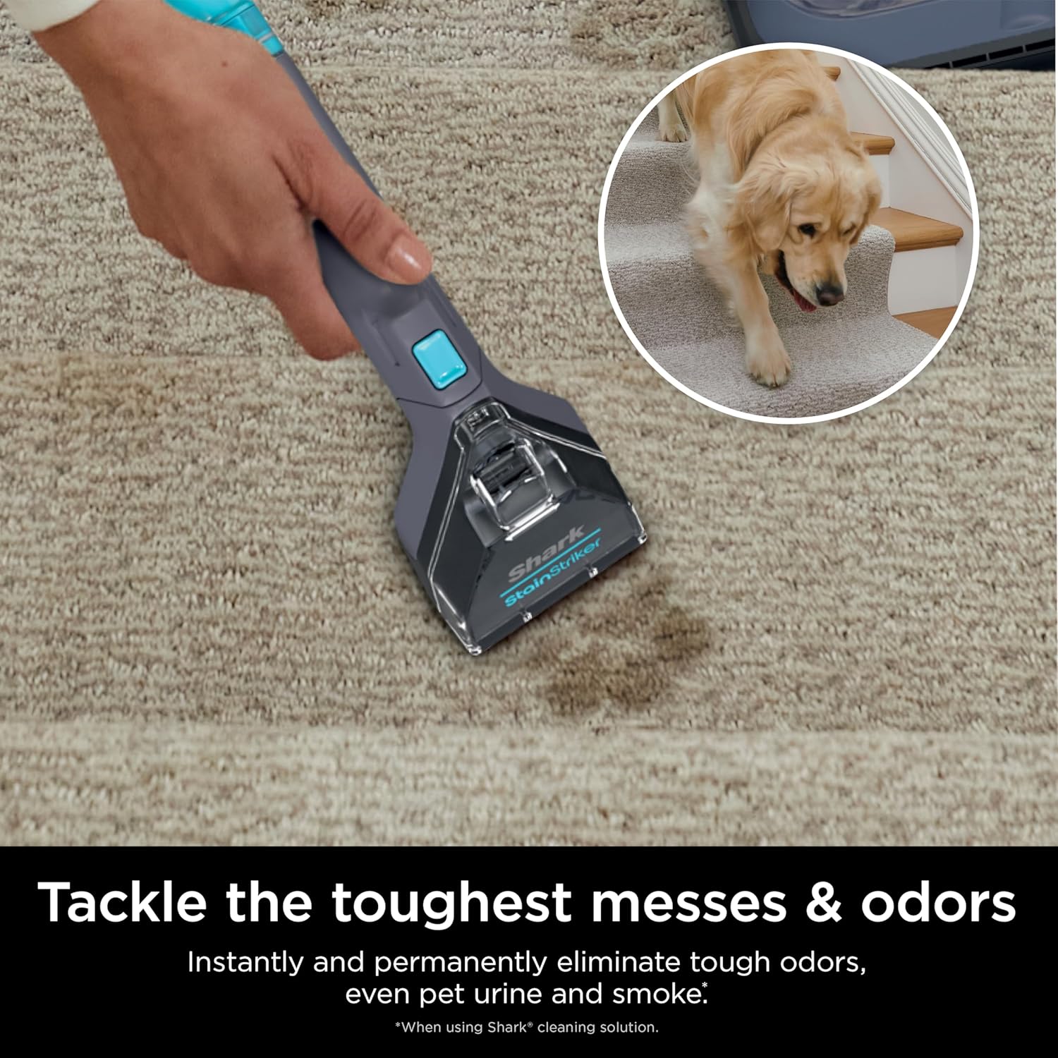 Shark StainStriker Portable Carpet Cleaner - XL Self-Cleaning Tool & Stain Remover | Perfect for Car Interiors