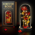 Glass Rose – LED Rose in Glass Dome Flower Lights, Romantic Flowers Roses for Home Decor, Valentine's Day & Birthday Gifts for Women | Home Decor Gifts for Girlfriend – Elegant Lighting Solution