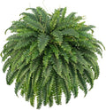 Forest Prince 50" Artificial Boston Ferns - Large Faux Bush Plants with 96 Fronds for Outdoor Decor