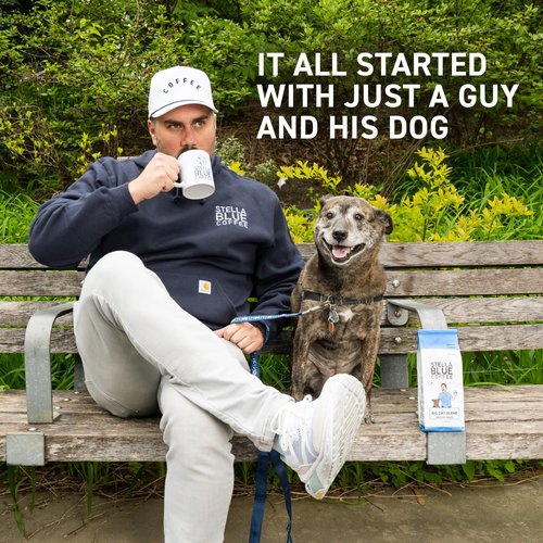 Stella Blue Espresso Sweet Cream Latte Cans, Ready-to-Drink Coffee Energy Beverage, 100% Colombian Coffee, 190mg Natural Caffeine, Gluten Free & Good Source of Protein, 11oz Can, 12 Pack