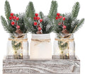 Skiennix Winter Mason Jar Centerpiece - LED Lights & Artificial Plants | Set of 3 Farmhouse Decor