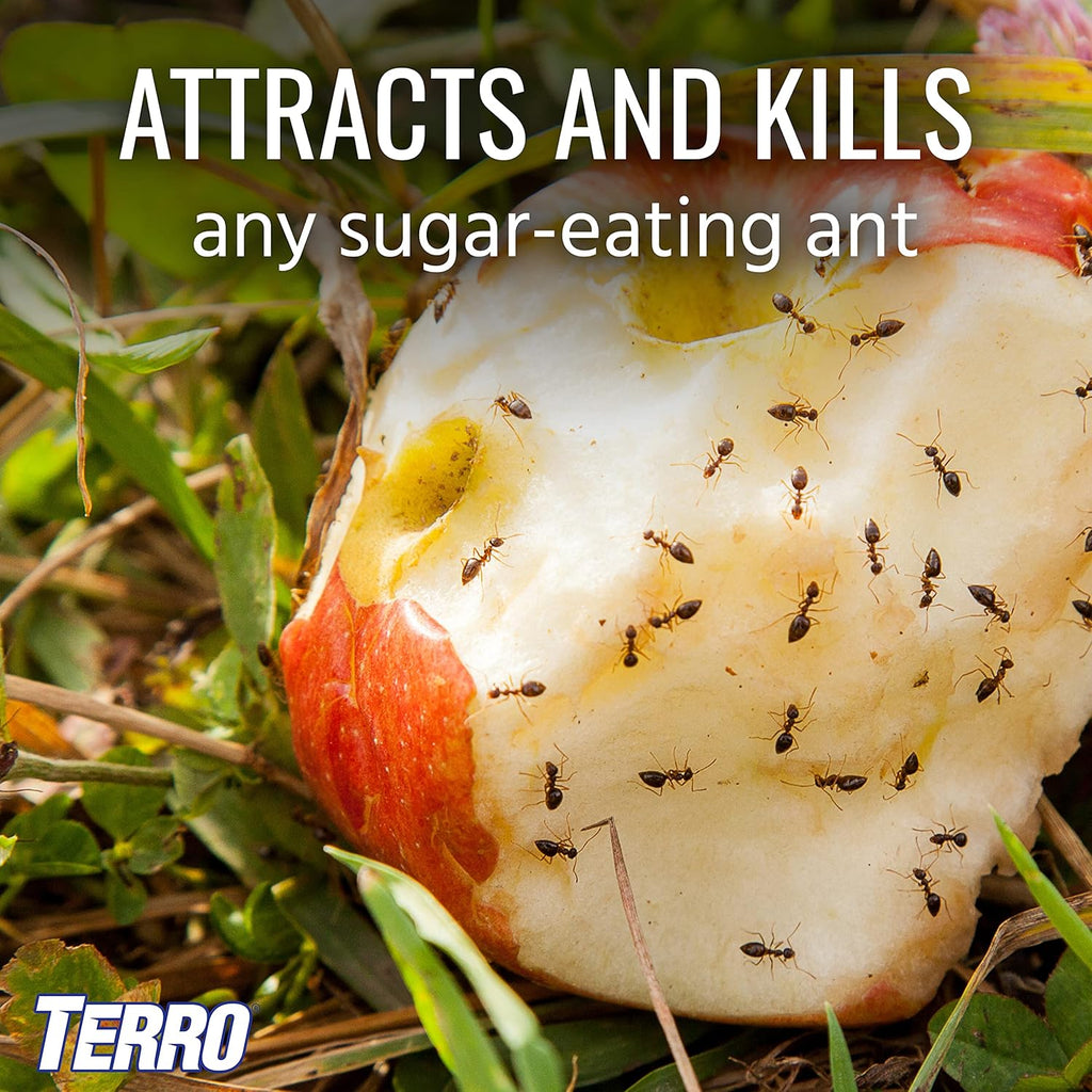 Terro T1812 Outdoor Ant Baits - Effective Liquid Formula, 6 Pack for Pest Control