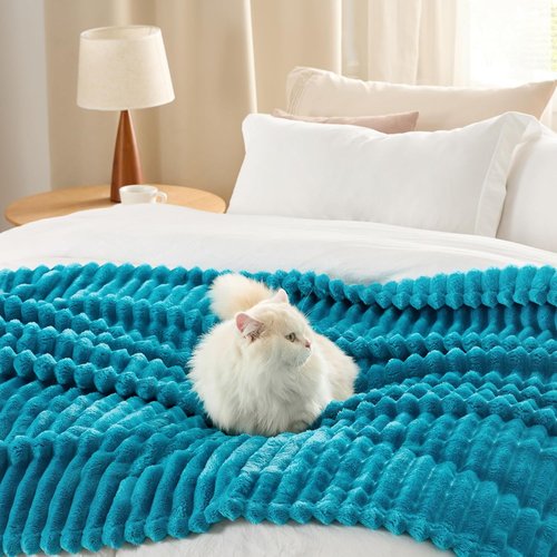 Bedsure GentleSoft Twin Blanket - Cozy Teal Throw for Women | Soft & Large 66x90 Inches