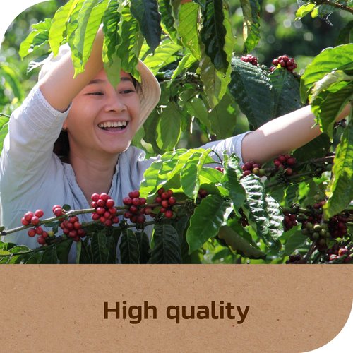 NESCAFÉ Taster's Choice Instant Coffee, Light Medium Roast Coffee, House Blend, 2 Jars (14 Oz Each)