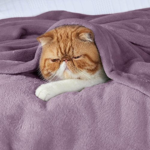 Bedsure GentleSoft Fleece Blanket - King Size Cozy Plush Microfiber in Fog Purple, 108x90 Inches