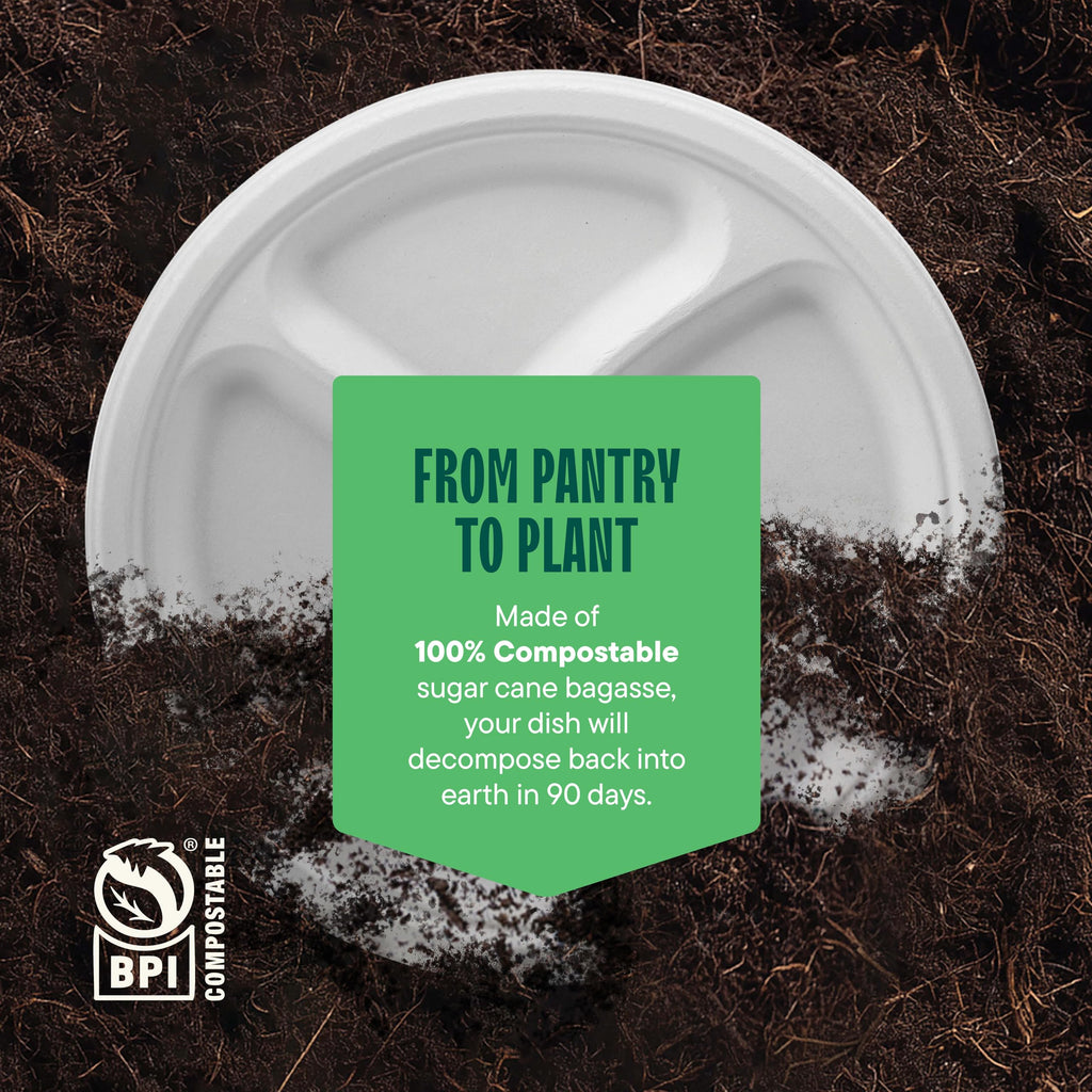 100% Compostable, 3 Compartment [10-Inch] Disposable Paper Plates [125-Pack] Sectional Lunch Trays + Dividers - Divided Platter Tray - Heavy Duty Biodegradable Bagasse (BPA-Certified) (PFAS-Free)