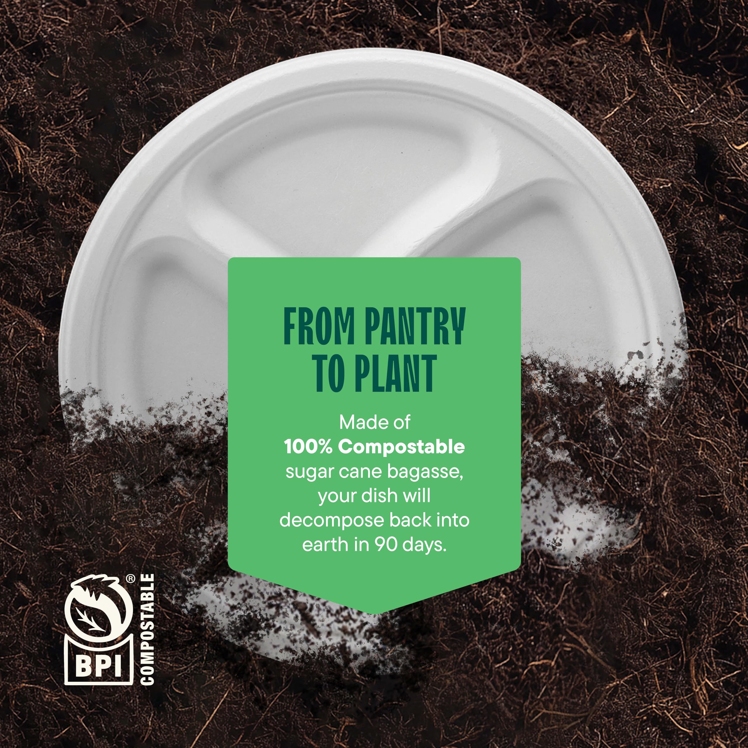 100% Compostable, 3 Compartment [10-Inch] Disposable Paper Plates [125-Pack] Sectional Lunch Trays + Dividers - Divided Platter Tray - Heavy Duty Biodegradable Bagasse (BPA-Certified) (PFAS-Free)