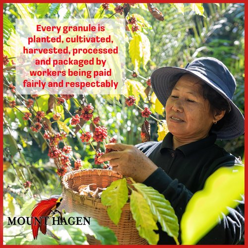 Mount Hagen 7.05oz Organic Freeze Dried Instant Caffeinated + Decaffeinated Coffee Resealable Pouch Bags - 2 Pack | Eco-friendly, Fair-Trade Coffee, Medium Roast Arabica Beans [2x7.05oz]