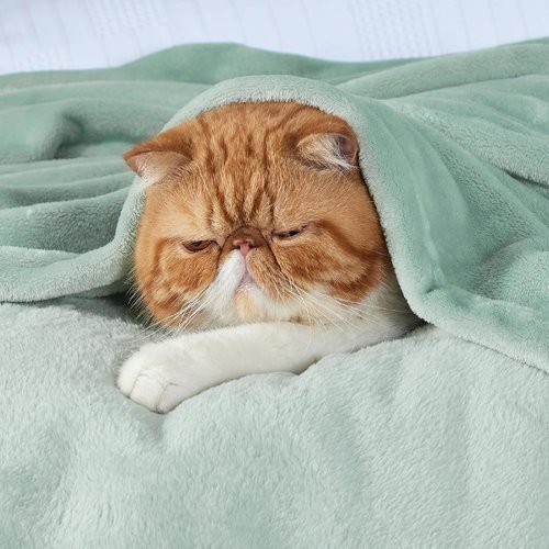 Bedsure GentleSoft Fleece Throw Blanket - Soft Sage Green 300GSM Plush Cozy Blanket for Home & Travel