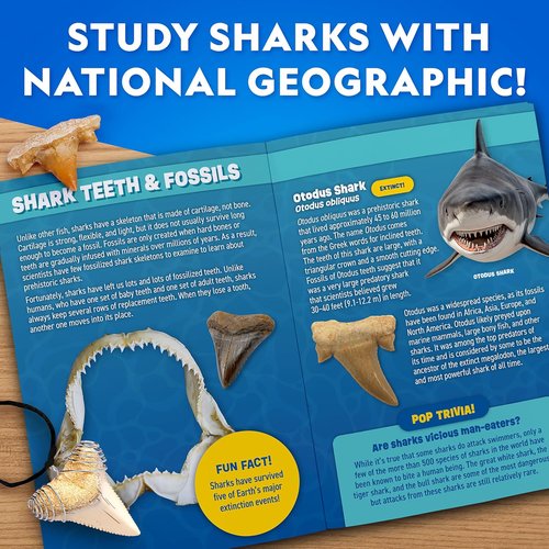 National Geographic Shark Tooth Dig Kit - Excavate Ancient Shark Fossils & Create a Necklace | STEM Activity for Kids Ages 6-8