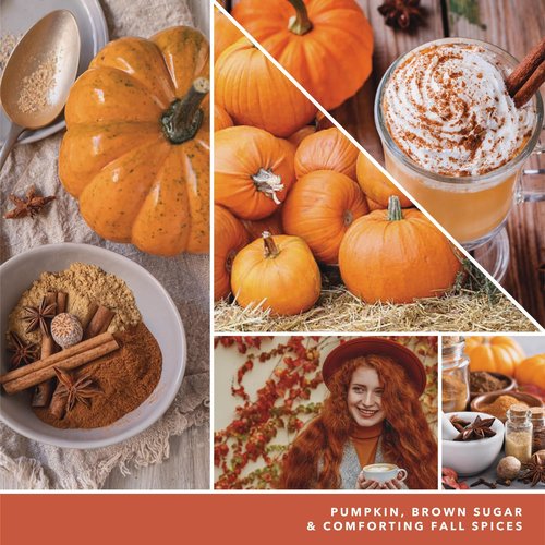 Yankee Candle Paper Car Jar, Spiced Pumpkin (Pack of 6)