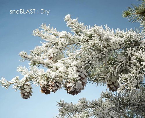 Design Master 840 Snow Blast Spray - White | 32.48" Height for Stunning Winter Decor
