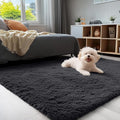 OLANLY Accent Rug - Soft Fluffy Shaggy Area Rug for Bedroom & Living Room | Machine Washable, Black