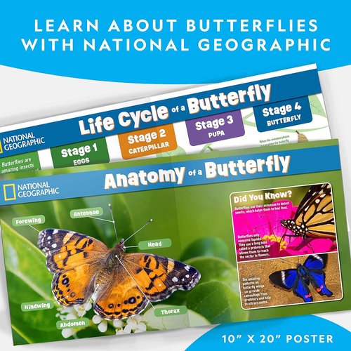 National Geographic Butterfly Growing Kit - Complete Habitat with 5 Caterpillars Voucher | Perfect Easter Gift for Kids