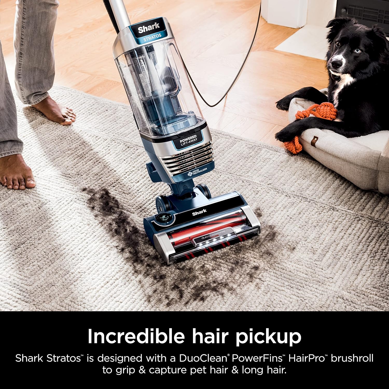 Shark AZ3002 Stratos Upright Vacuum - DuoClean PowerFins & HairPro | Self-Cleaning Brushroll, Navy