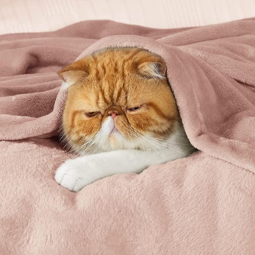 Bedsure GentleSoft Fleece Blanket - Cozy Lightweight Plush Twin Size Dusty Pink, 60x80 Inches