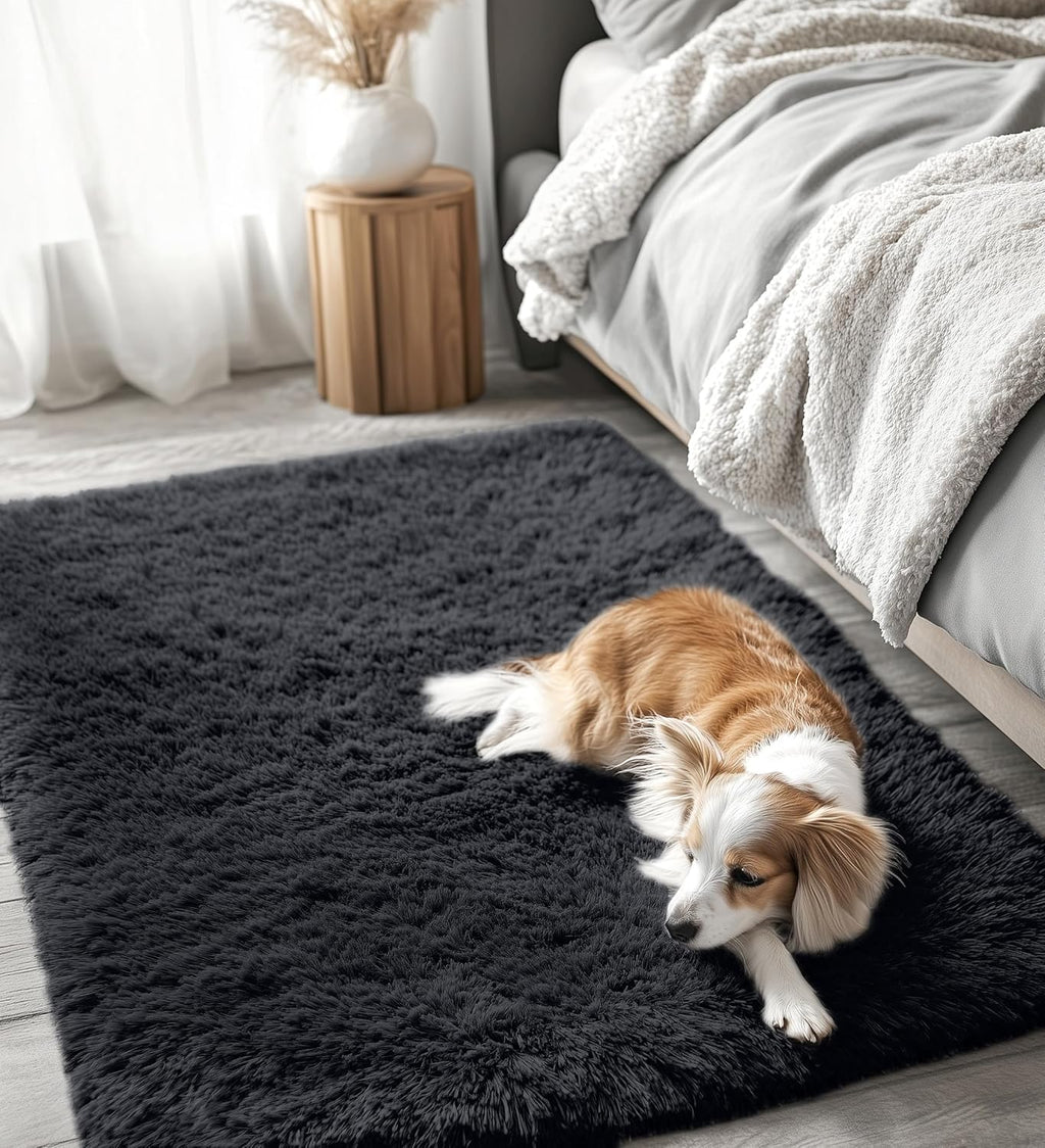 OLANLY Accent Rug - Soft Fluffy Shaggy Area Rug for Bedroom & Living Room | Machine Washable, Black