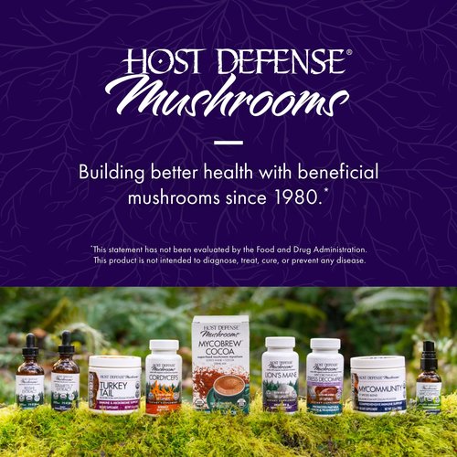 Host Defense MycoBrew Matcha - Matcha Drink Mix - Matcha Green Tea Powder that Includes Lion's Mushroom - Drink Mix with Organic Matcha Tea - 10 Packets (10 Servings)
