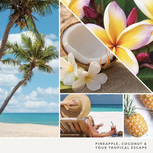 Yankee Candle Car Jar Ultimate, Coconut Beach, 0.96 OZ (Pack of 3)