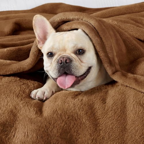 Bedsure GentleSoft Fleece Blanket - Soft, Lightweight, Plush Orange Queen Size, 90x90 Inches
