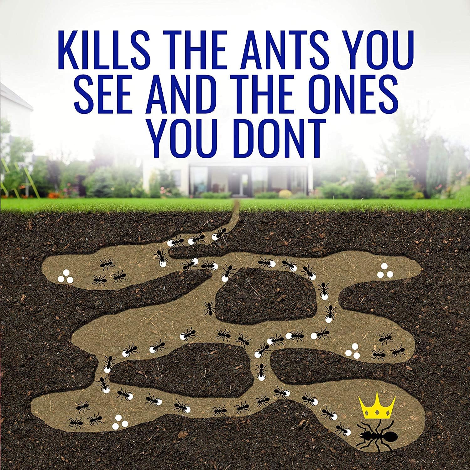 Terro Ant Bait Stations - Effective Liquid Formula for Quick Ant Control | 8-Pack