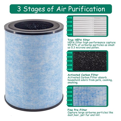 Asheviller AP300 Filter Replacement, Compatible with Instant® AP300 Air Purifier, H13 Grade True HEPA and Activated Carbon Filters, Compare to F300 Filter,2 Pack