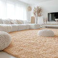 OLANLY Large Area Rug - Soft Fluffy Shaggy Indoor Carpet for Living Room & Bedroom | 9x12 Beige