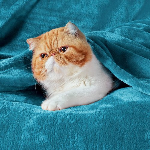 Bedsure Teal Blue Fleece Blanket - Soft, Lightweight 300GSM Plush Blanket for Bed, Sofa, Travel | 50x70 Inches